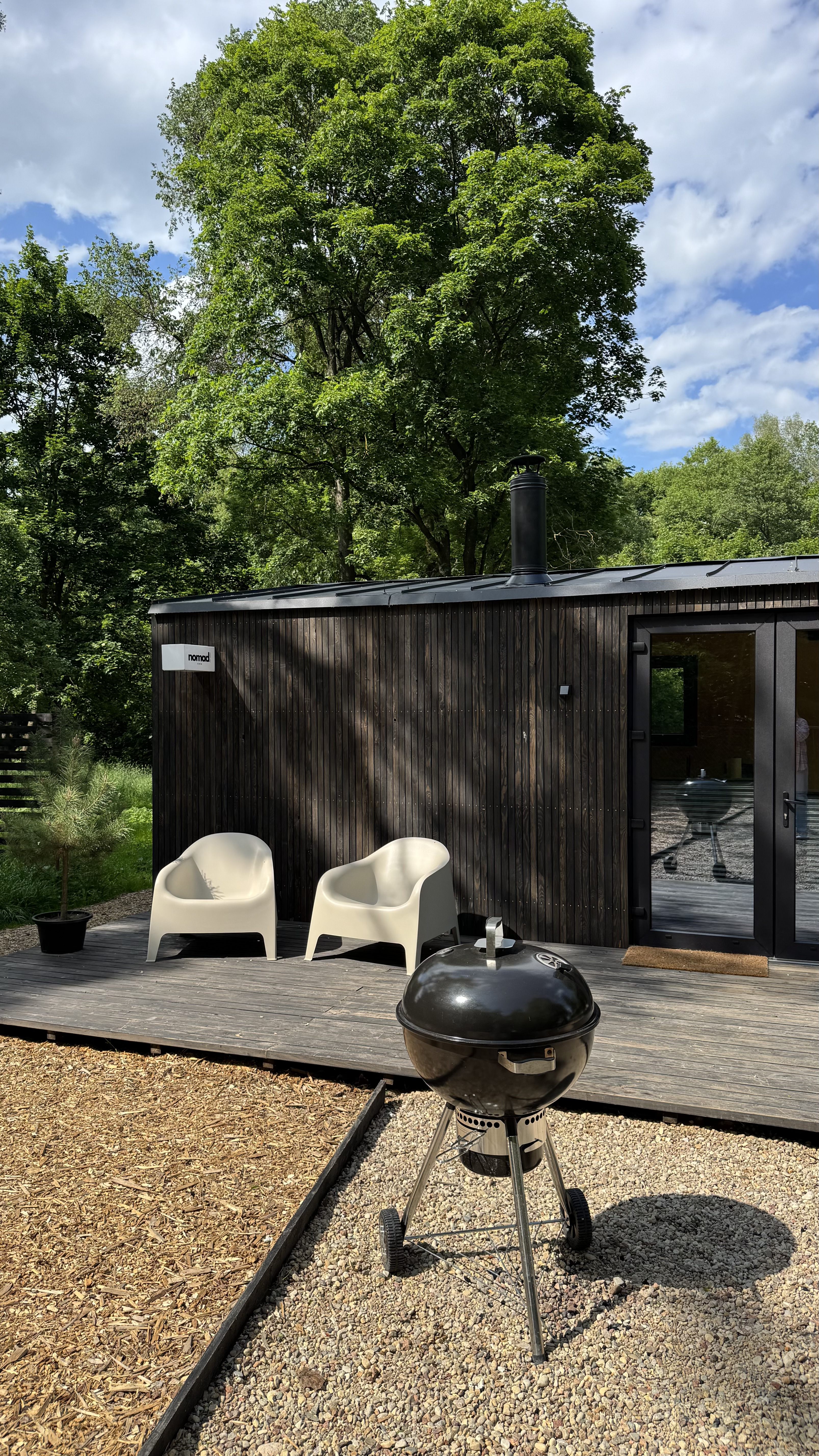 Домик в густом лесу, утренний свет